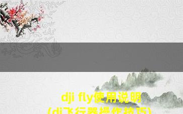 dji fly使用说明(dj飞行器操作技巧)